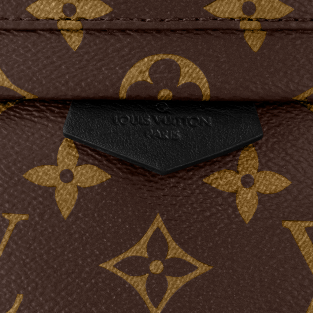 Louis Vuitton Palm Springs Mini Bagpack - Oh My Handbags