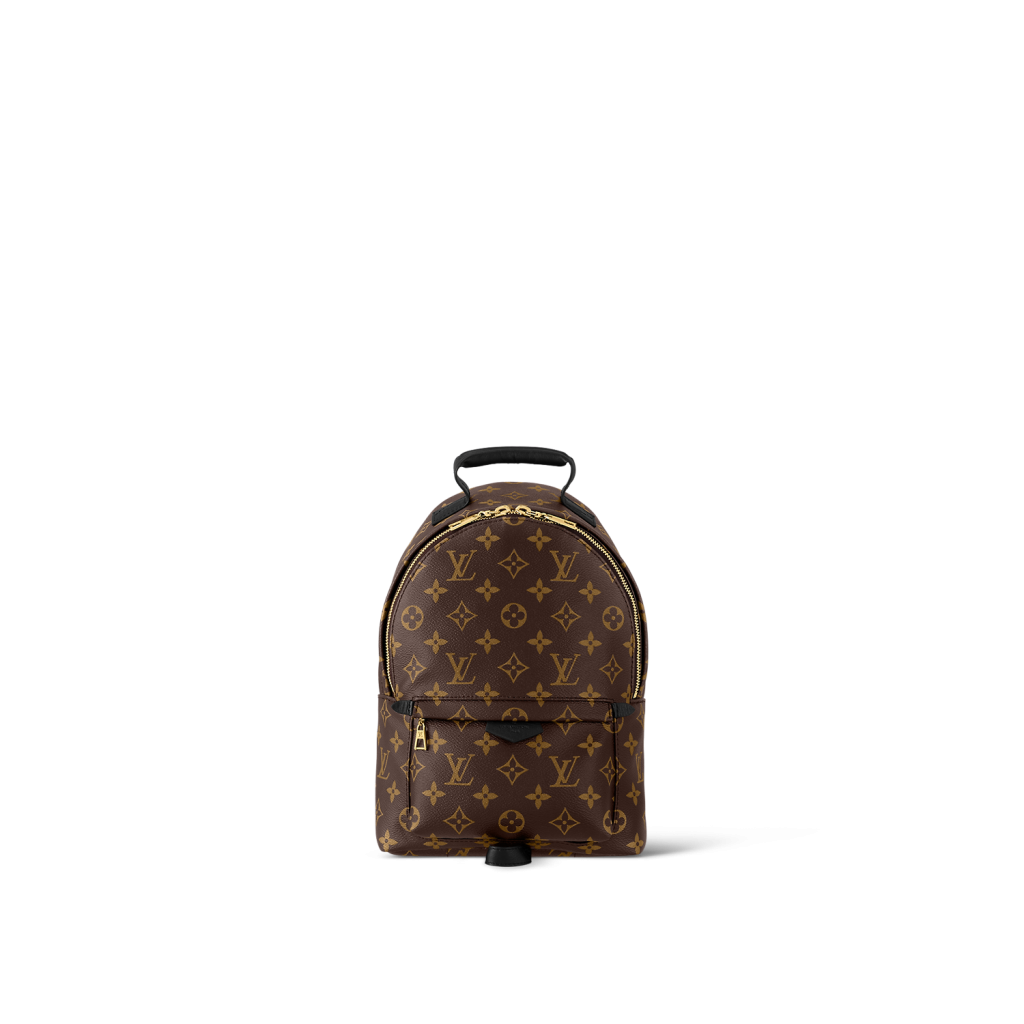 Louis Vuitton Brown Monogram Coated Canvas Party Palm Springs