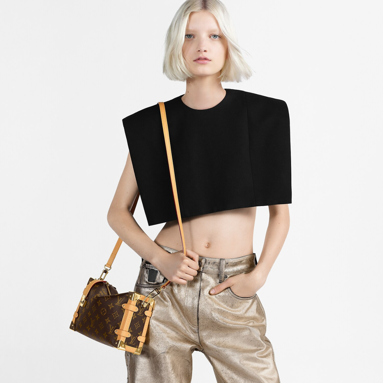 Louis Vuitton Side Trunk MM Bag - Vitkac shop online