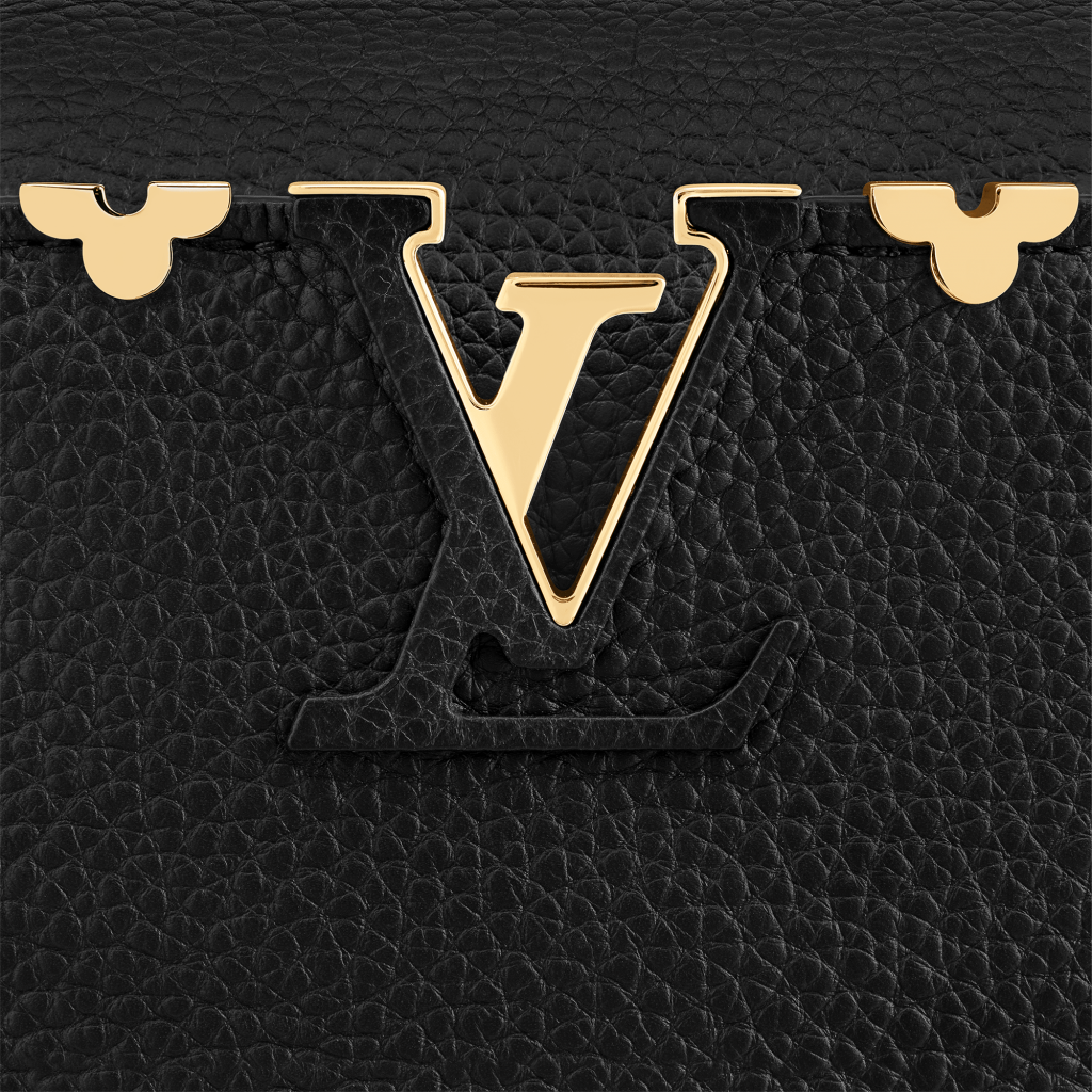 Louis Vuitton Capucines Pm Sizes Charter