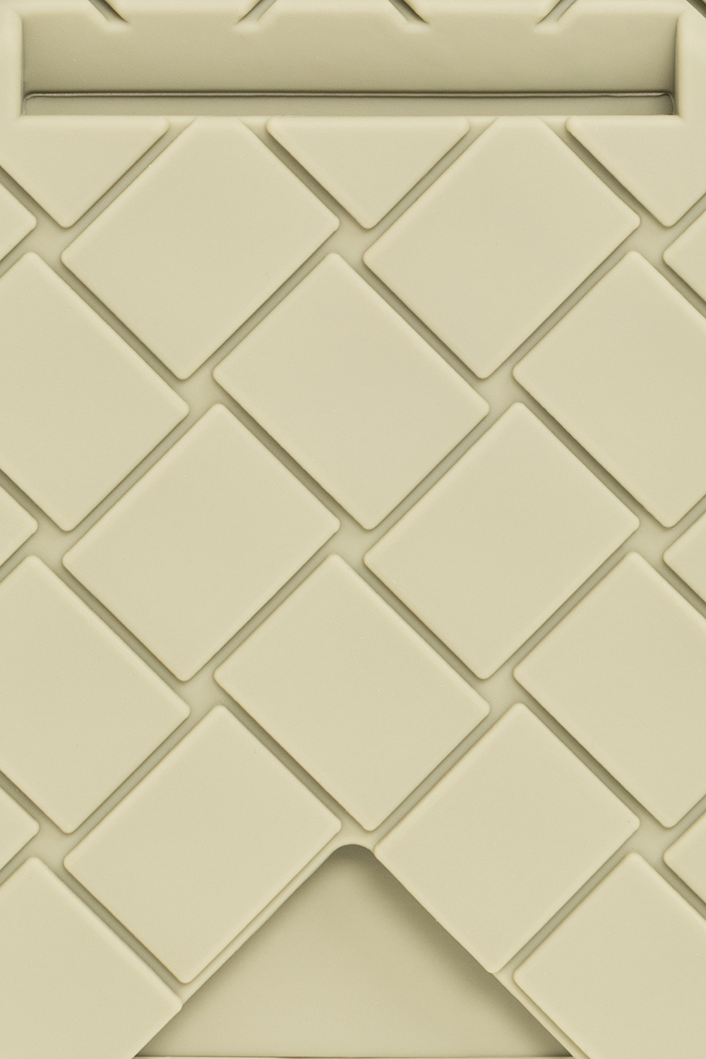 Bottega Veneta iPhone 13 Pro case