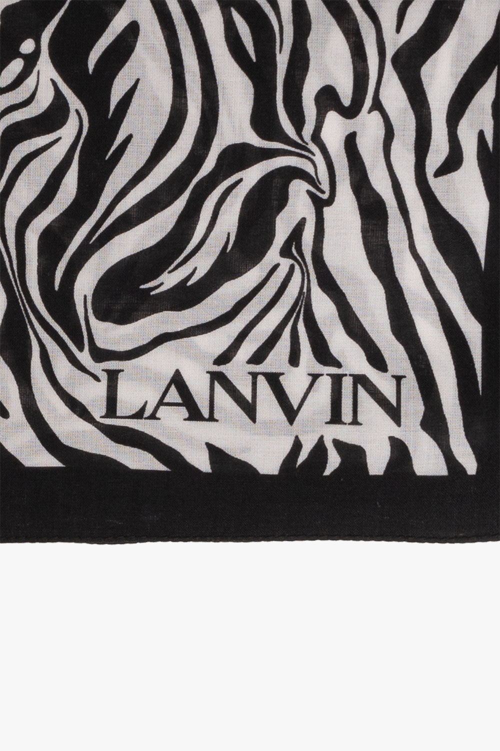 Lanvin Ties / bows