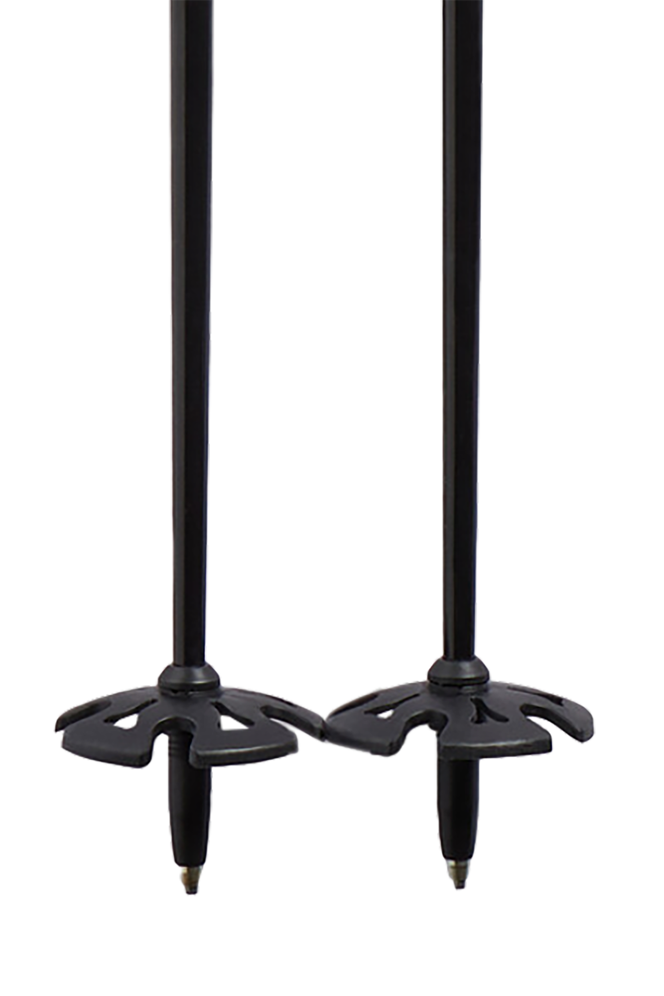 Balenciaga Ski poles with logo