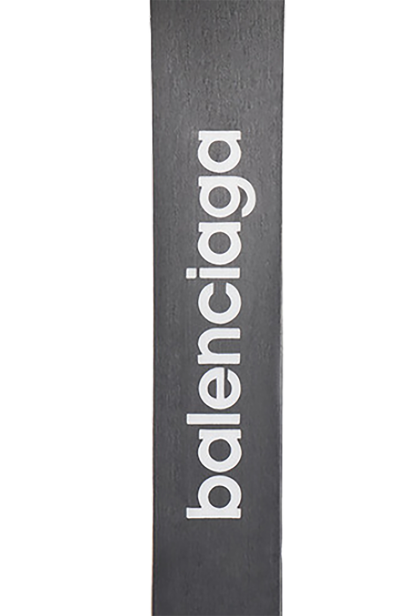 Balenciaga Skis with mirror effect