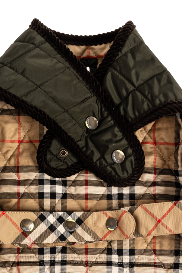Burberry Clothes for dogs