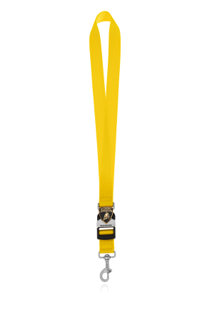 Balenciaga x Automobili Lamborghini