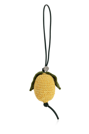 Bag charm