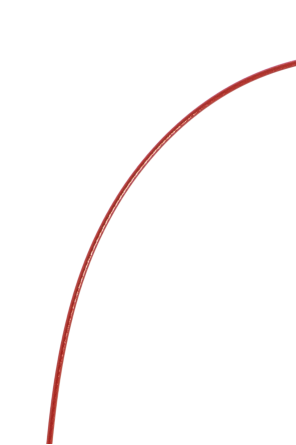 Oakley Eyeglass strap