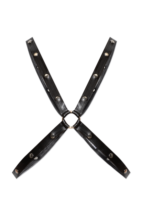 Harness with applications od Dsquared2