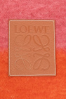 Loewe Cushion with logo