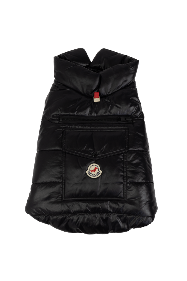 Moncler Genius dog vest