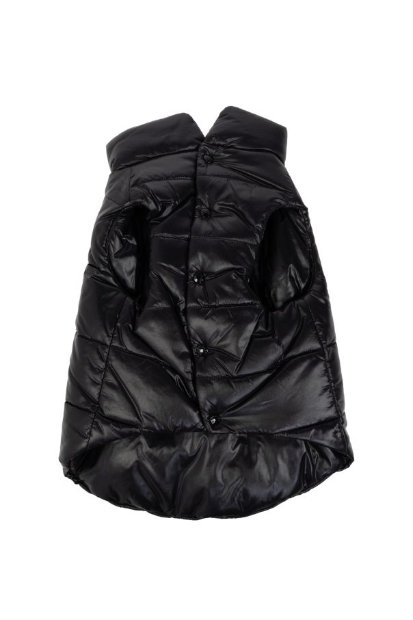 Moncler Genius dog vest