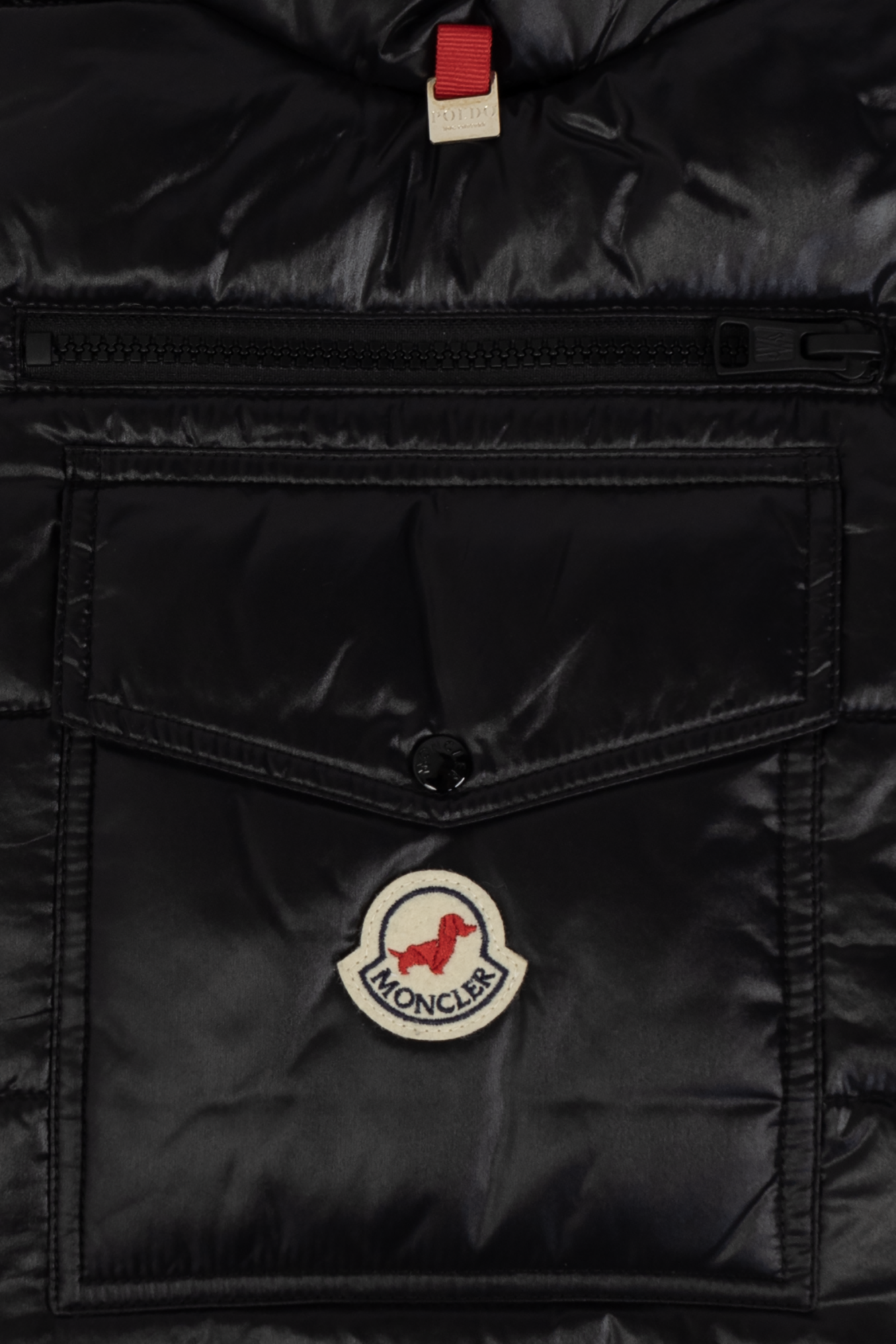 Moncler Genius dog vest