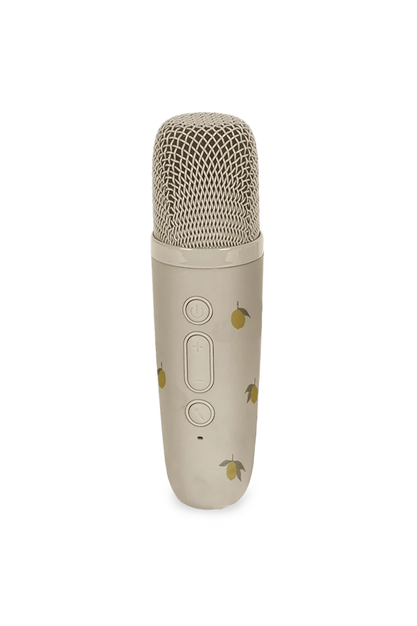 Konges Sløjd Karaoke set