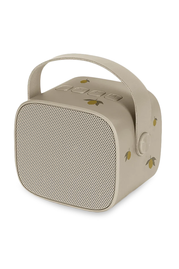 Konges Sløjd Karaoke set
