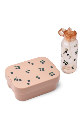 Set: bottle and lunchbox