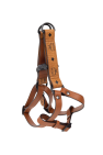 MCM Pet harness