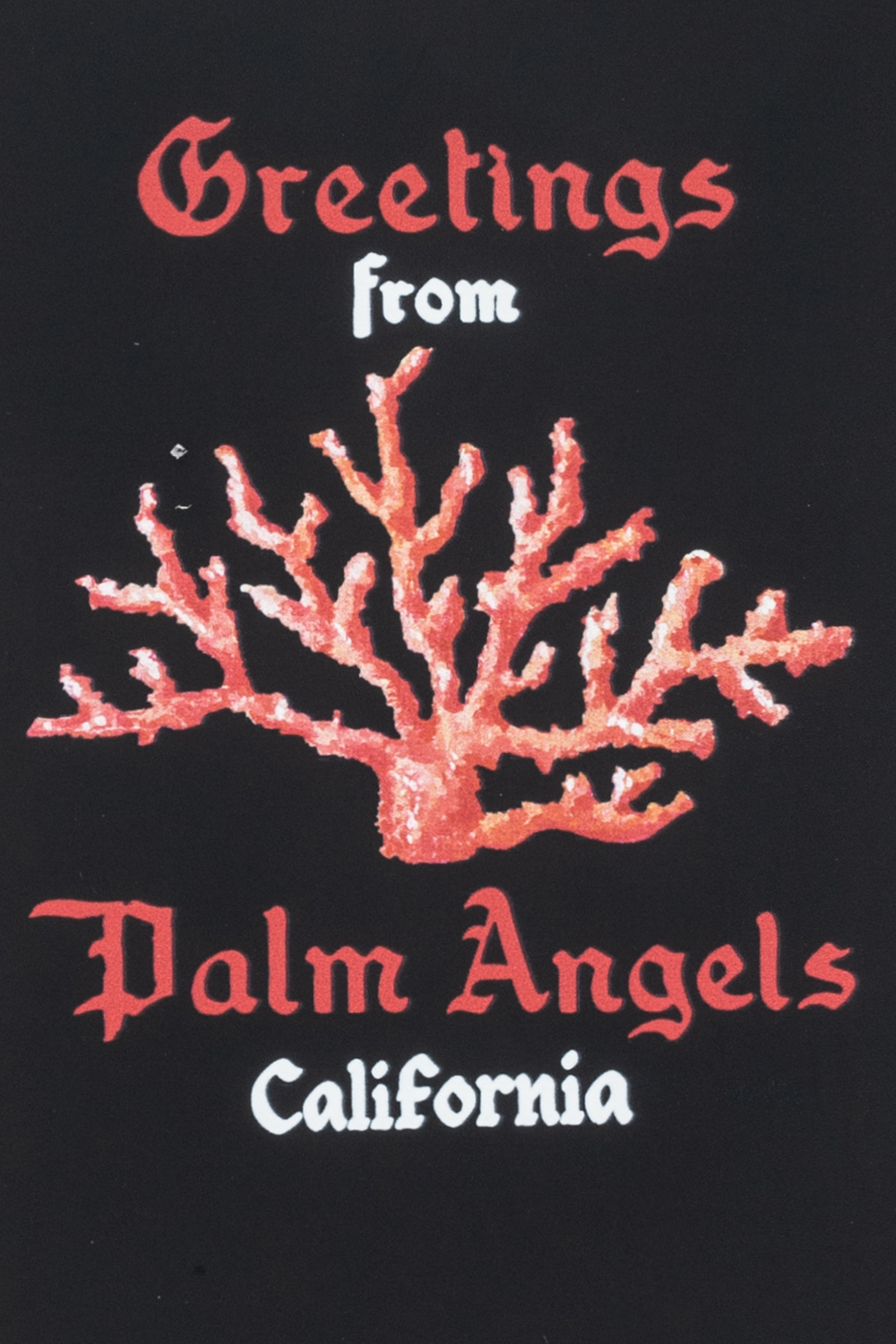 Palm Angels Boys clothes 4-14 years