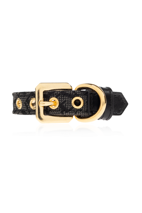 Small dog collar with Barocco print od Versace Home