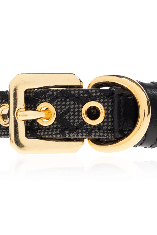 Versace Home Kleines Hundehalsband mit Barocco-Druck