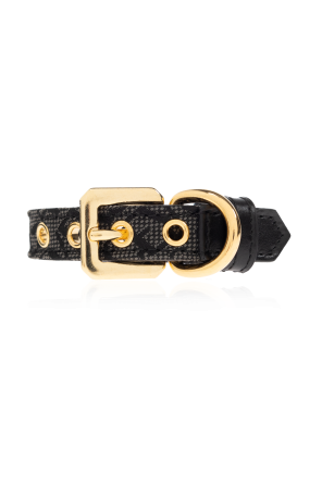 Kleines Hundehalsband mit Barocco-Druck