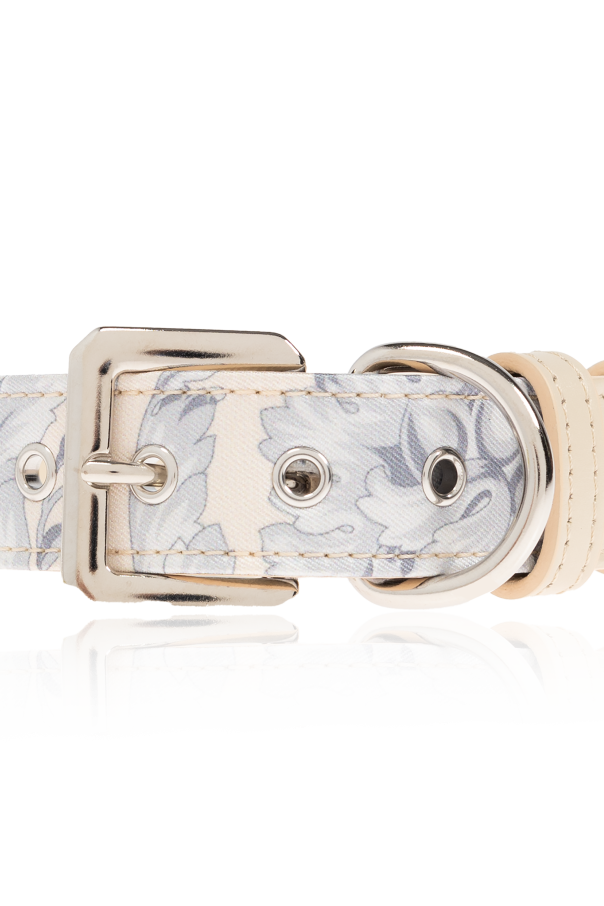 Versace Home Hundehalsband mit 'Barocco'-Druck