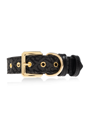 Hundehalsband mit 'Barocco'-Druck