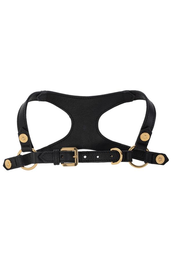 Dog harness od Versace Home