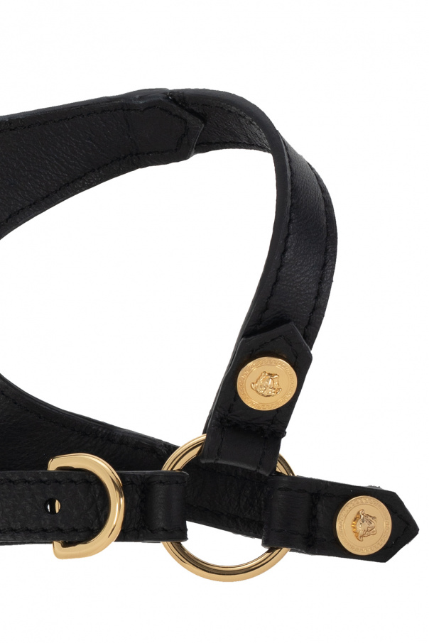 Versace Home Dog harness