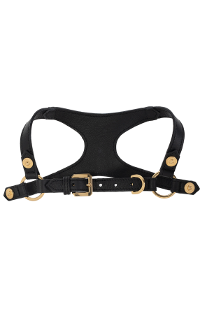 Dog harness