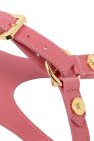 Versace Home PINK Dog Collar