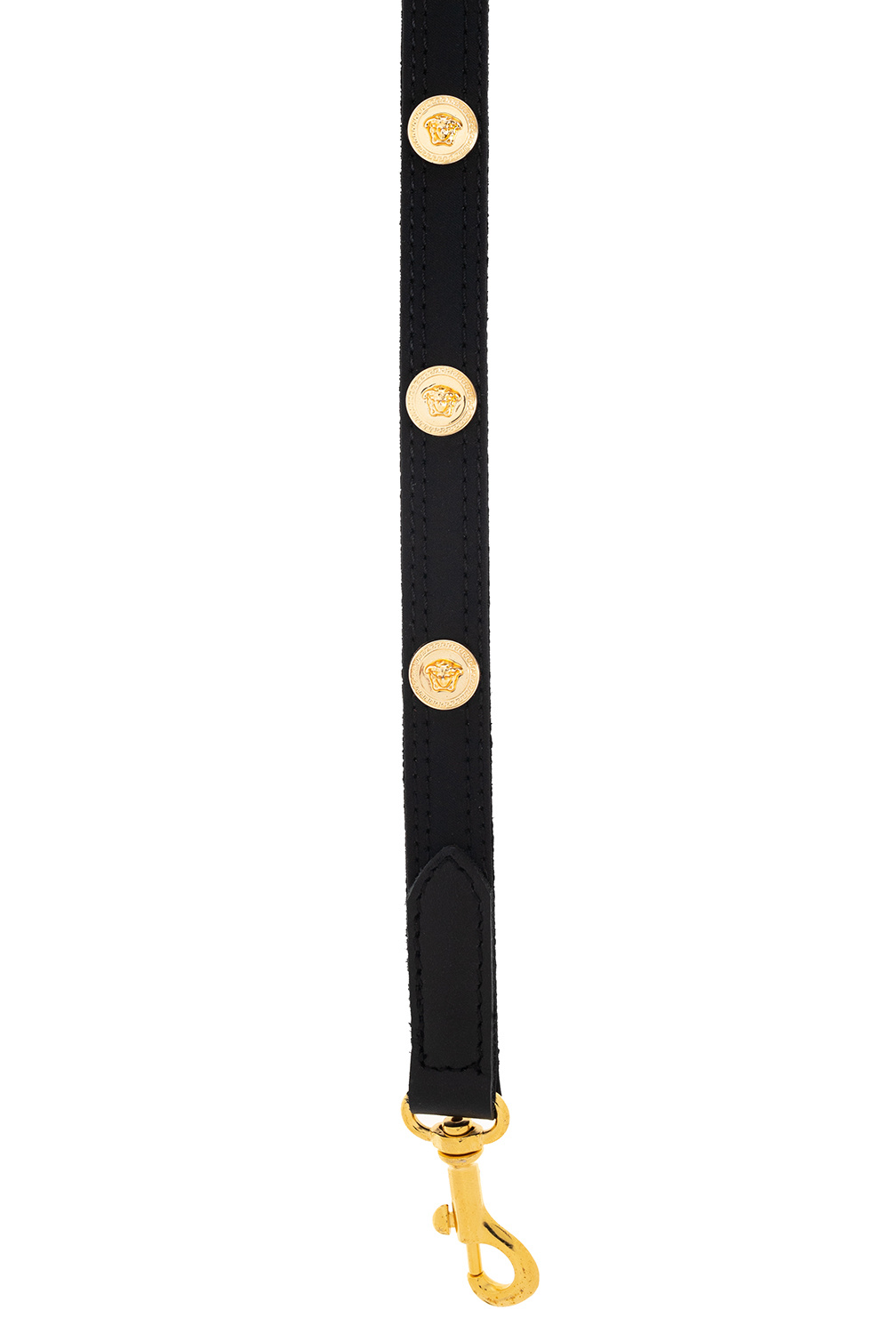 Versace Home Collar and leash set