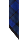 Burberry Silk scarf
