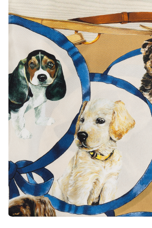 Dolce & Gabbana Pañuelo de seda