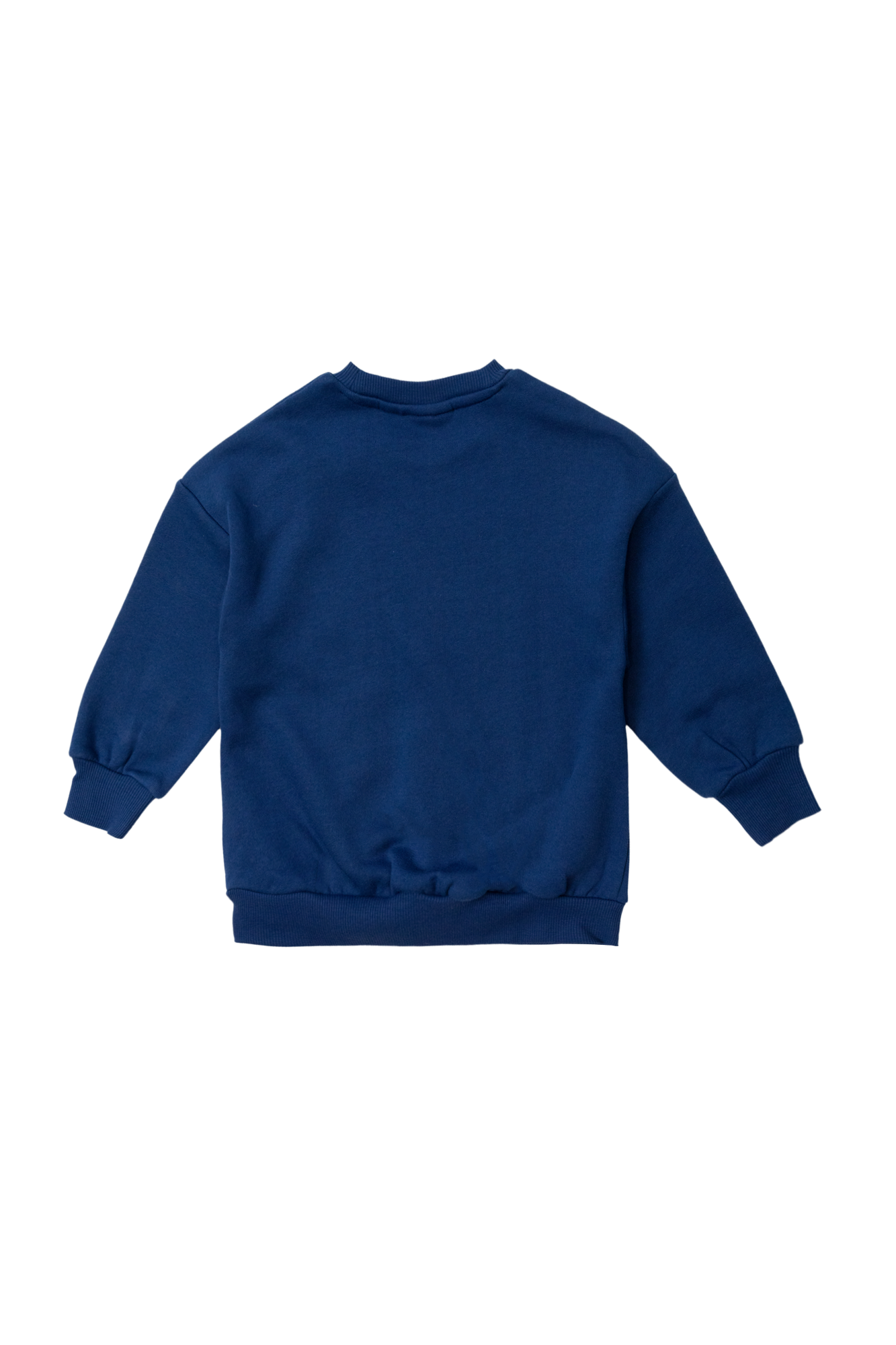 Mini Rodini Sweatshirt from organic cotton