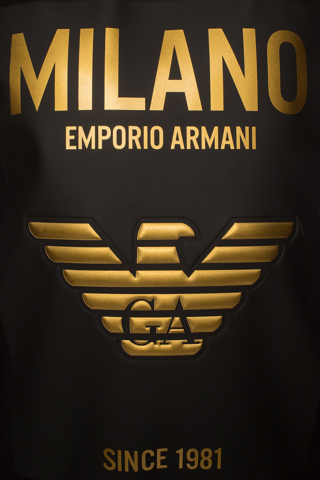 Betrouwbaar resultaat schending Emporio Armani 8n4tn51jpzzt0146 | IetpShops | Men's Clothing | Emporio Armani  Logo sweatshirt