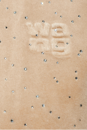 Alexander Wang Sweatshirt with shimmering crystals