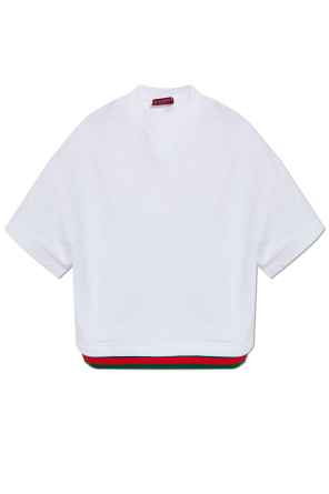 Camiseta con raya característica Web