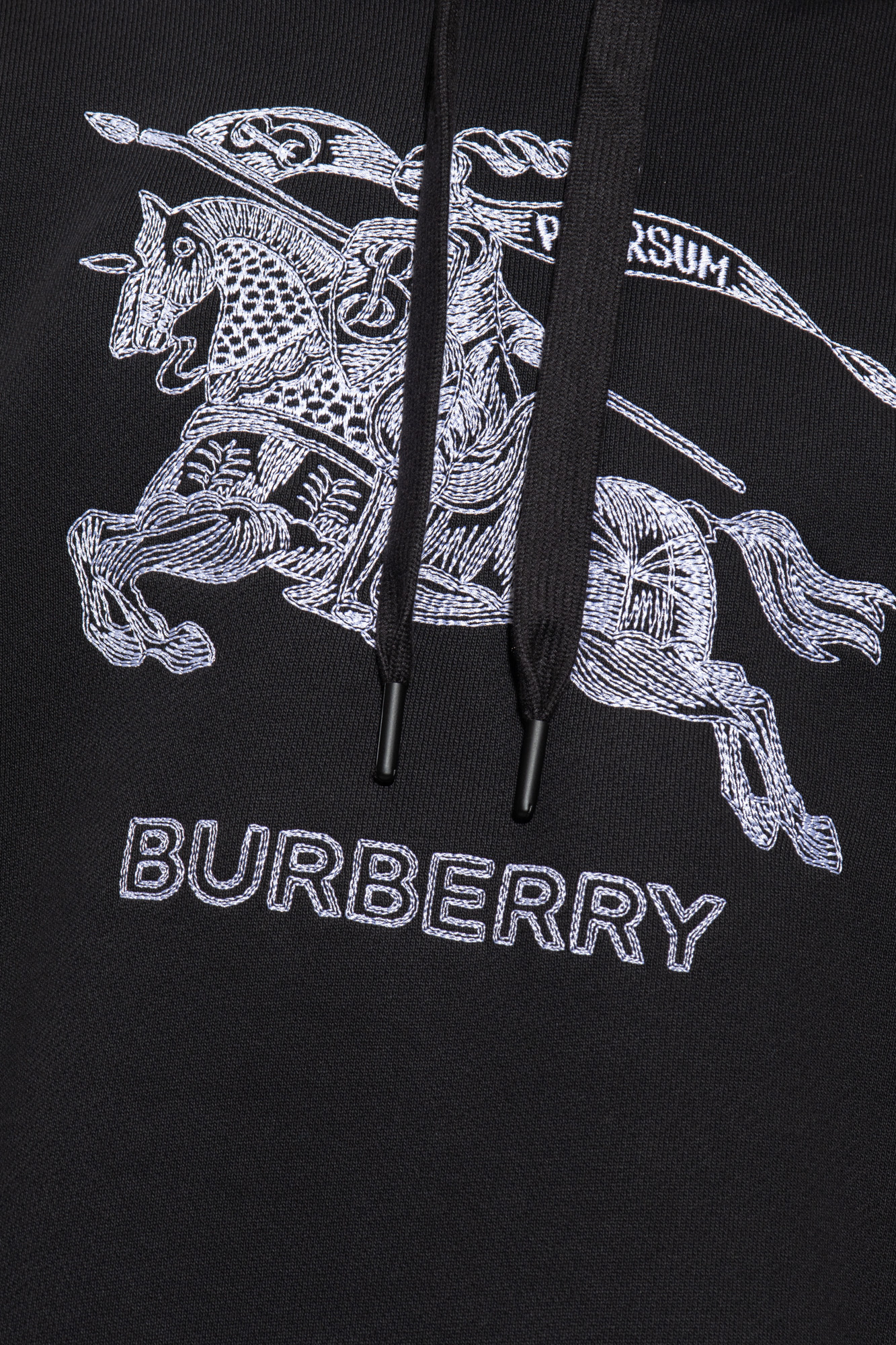 burberry Coin ‘Drake’ hoodie