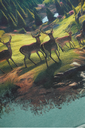 Dsquared2 Sweatshirt with print