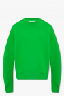 Sweatshirt com capuz Salewa Fanes Shearling verde