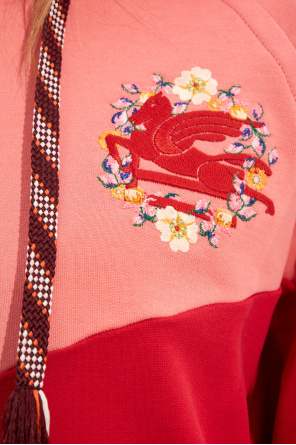 Etro Embroidered hoodie