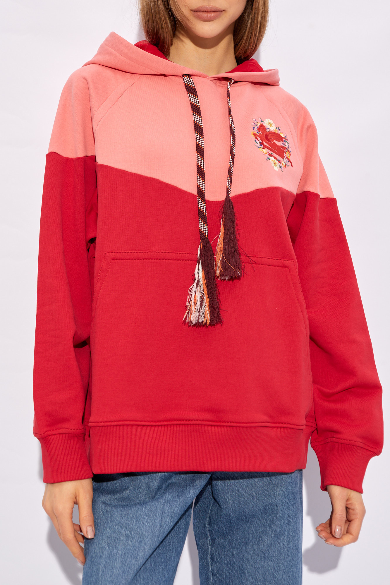 Etro Embroidered hoodie