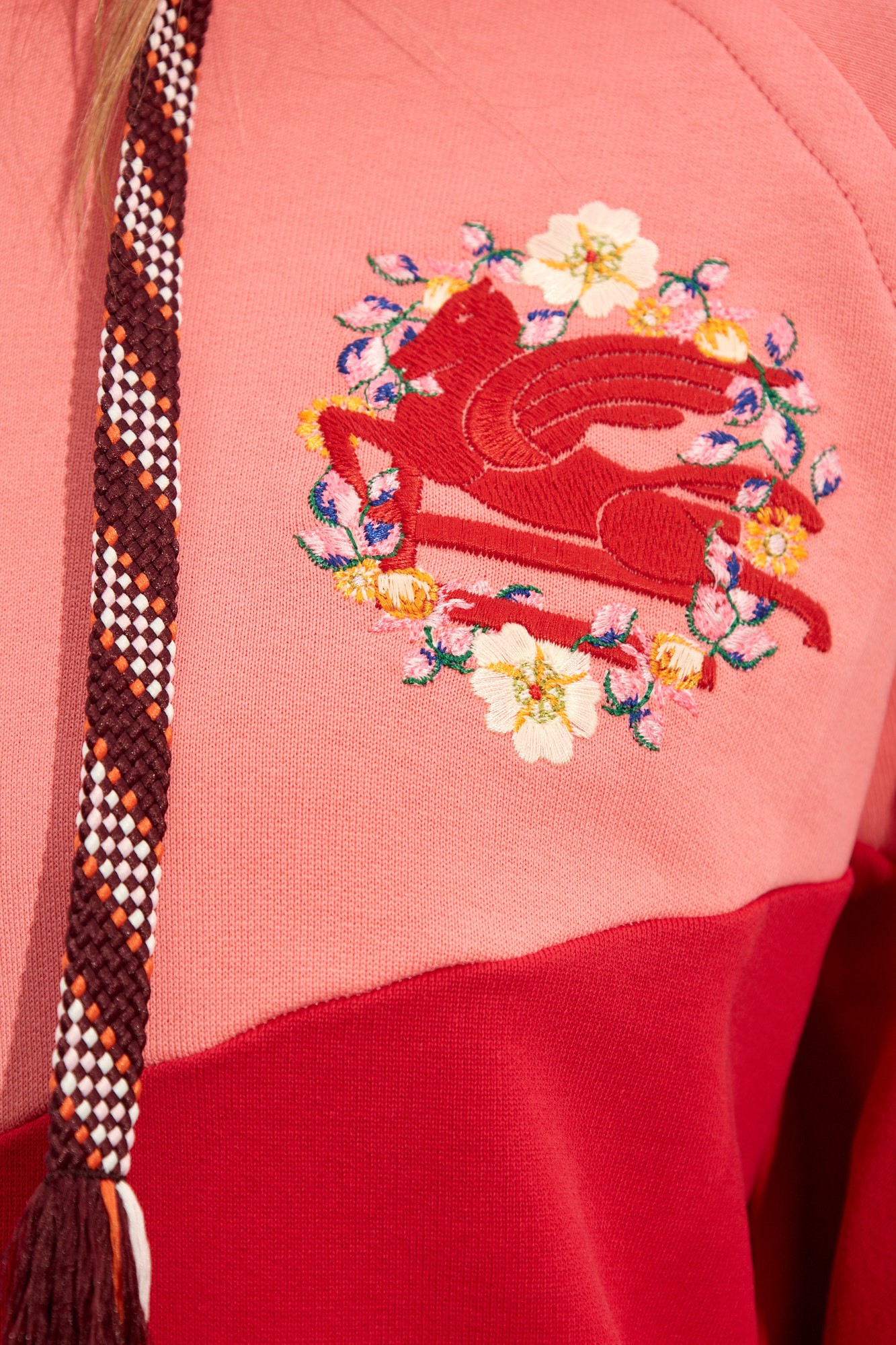 Etro Embroidered hoodie