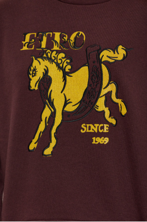 Etro Mikina s logom