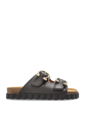 Slides 