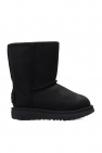 che ugg women neumel cozy low cut boots new