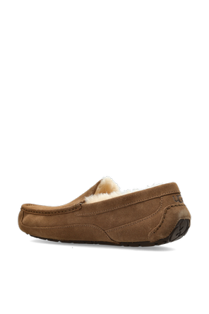 UGG Zapatos de ante ‘Ascot’