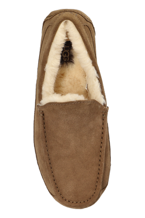 UGG Zapatos de ante ‘Ascot’