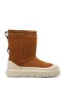 чёрные замшевые ugg black